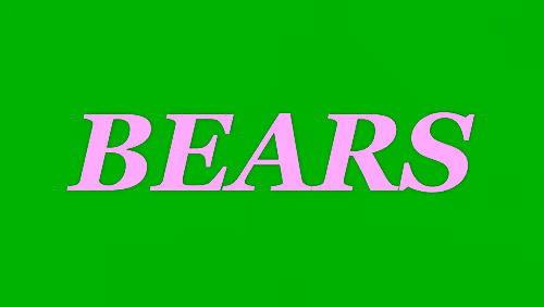 Bears